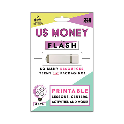 In a Flash USB, US Money, Grades 1 to 3 (Ages 6 to 8), 229 Pages