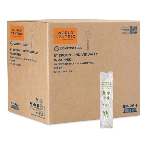 TPLA Compostable Cutlery, Spoon, Plastic, White, 750/Carton